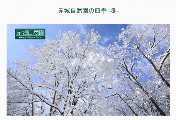 冬動画_キャプ