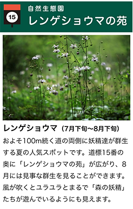 Akagi Nature Park “Hana Goyomi App”