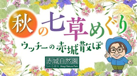 ウッチーの赤城散ぽ2024#06 ～秋の七草めぐり～