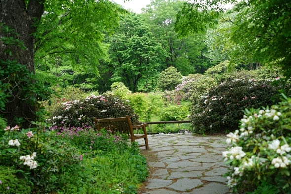 DSC01340