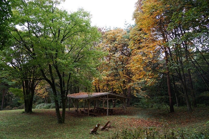 園内風景 | 今日の赤城自然園 | 赤城自然園