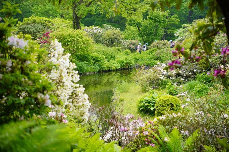園内風景 | 今日の赤城自然園 | 赤城自然園