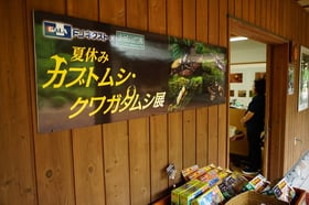 FJネクスト×赤城自然園　夏休みカブトムシ・クワガタムシ展2024