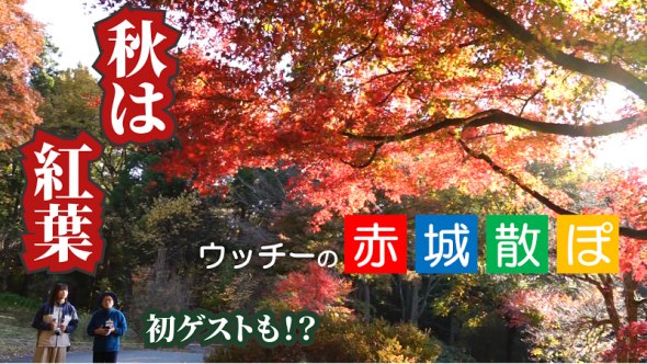 サムネ案