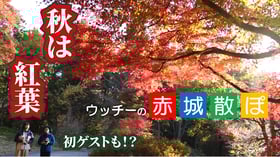 [お知らせ]　ウッチーの赤城散ぽ 第8弾公開！！
