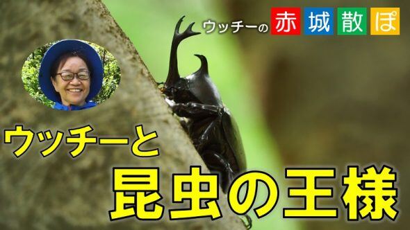 第3 話サムネ(黄色ver)