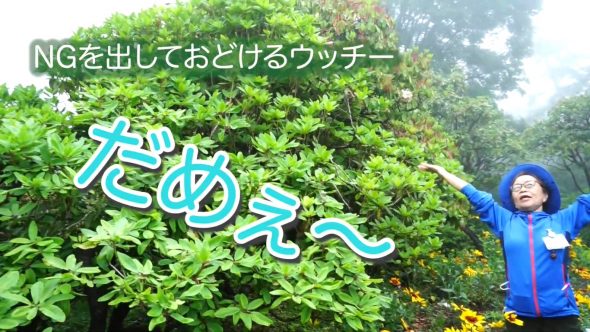 赤城散ぽ03