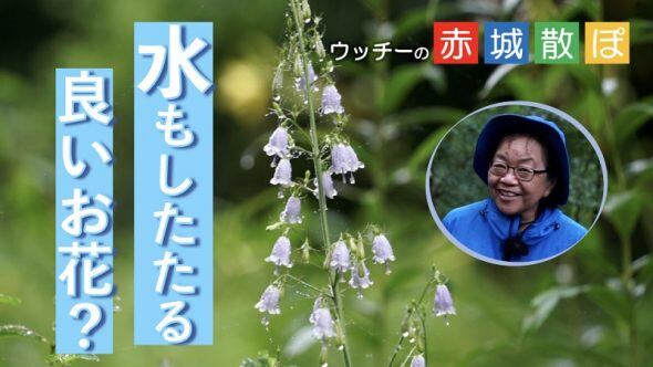 16話サムネ