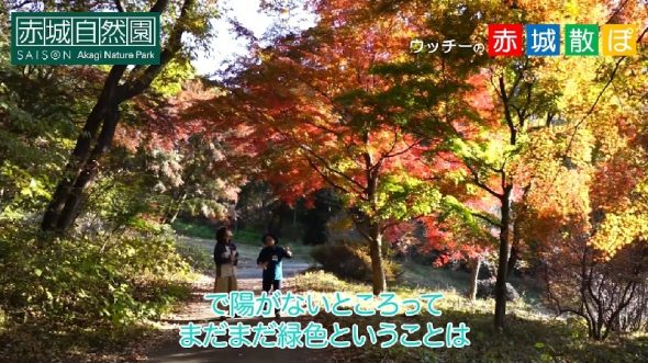 赤城散ぽ08
