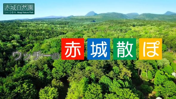 赤城散ぽ01