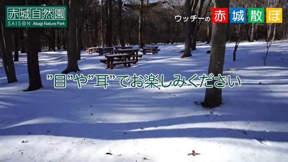 11話サムネ2