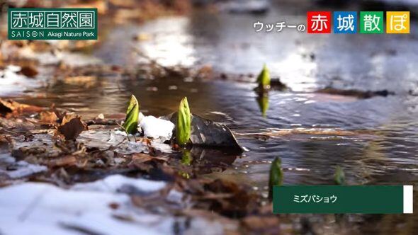 11話サムネ3