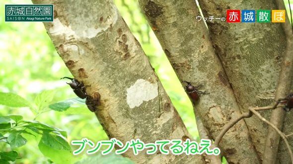第3話サムネ4