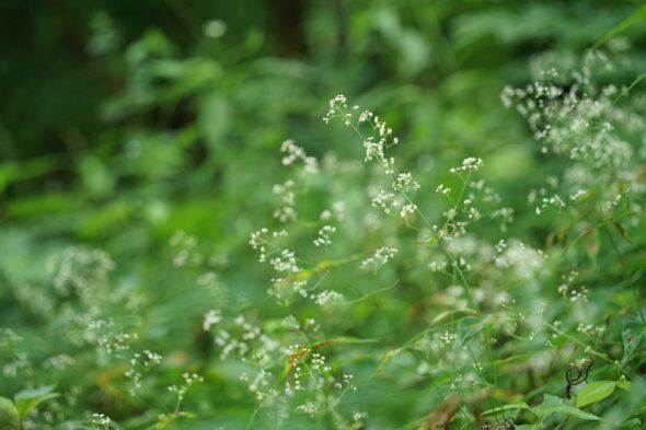 DSC00017