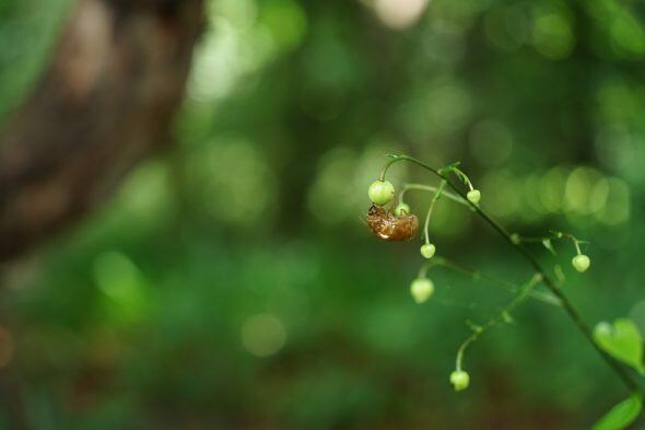 DSC00082