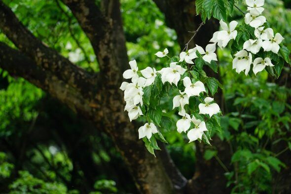 DSC00200