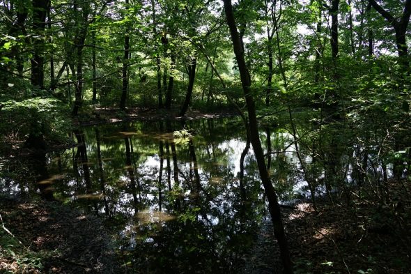 DSC00437