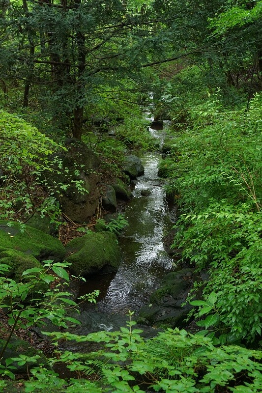 DSC00873
