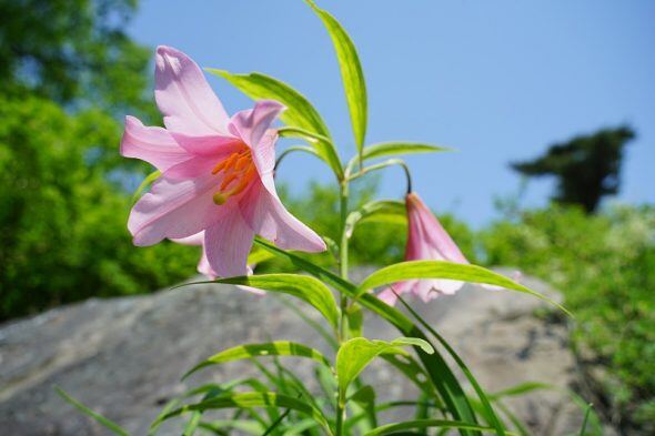 DSC00956