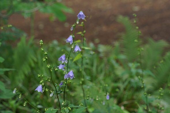 DSC00959