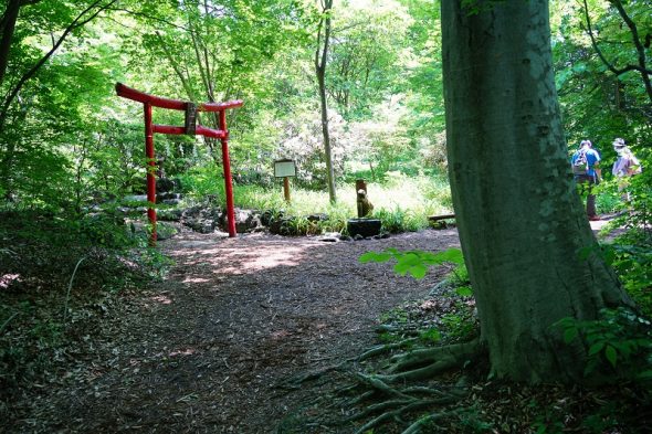 DSC00983