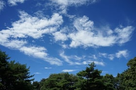 久しぶりの青い空