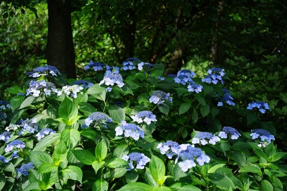 DSC01465