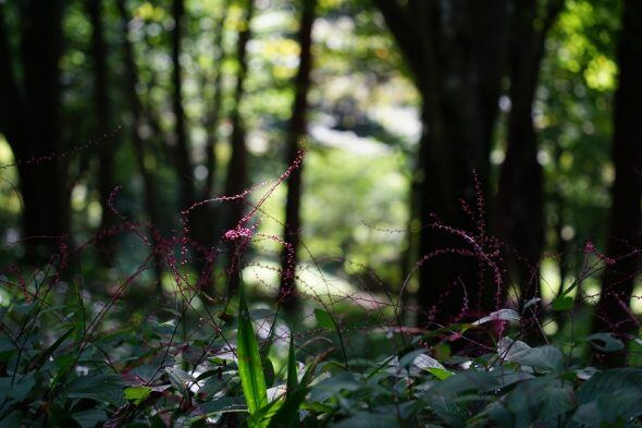 DSC01727