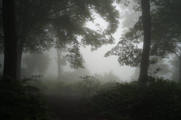 DSC02302