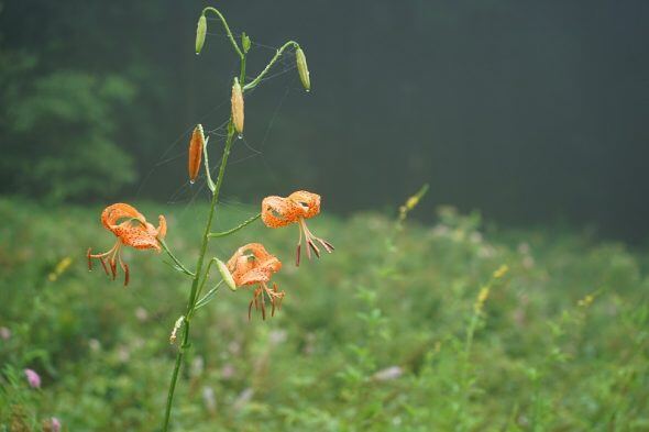DSC02315