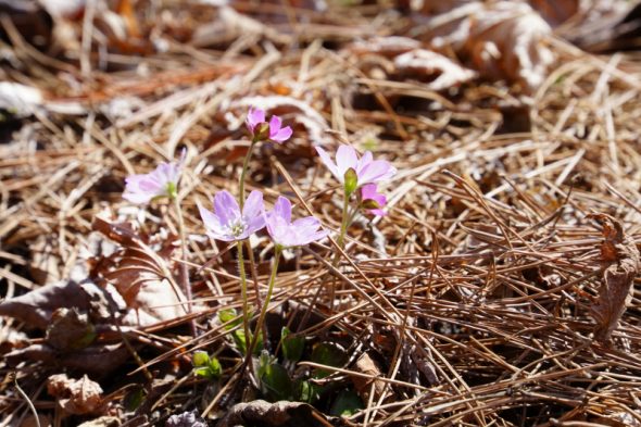 DSC02670_01