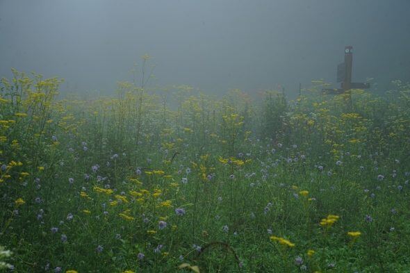 DSC03254