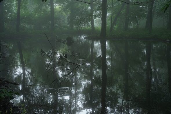 DSC03277
