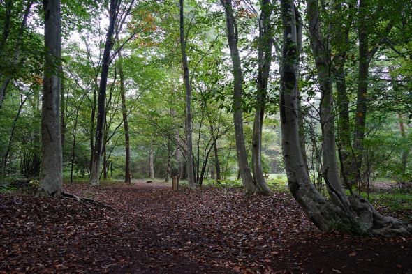 DSC04000