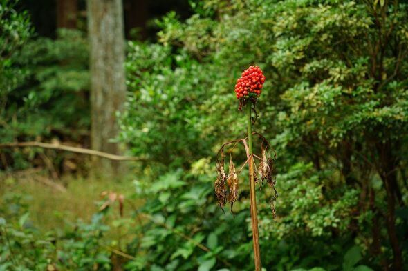 DSC04024