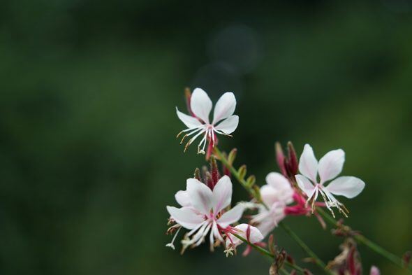 DSC04024