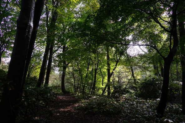 DSC04267