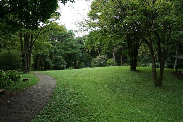 DSC04600