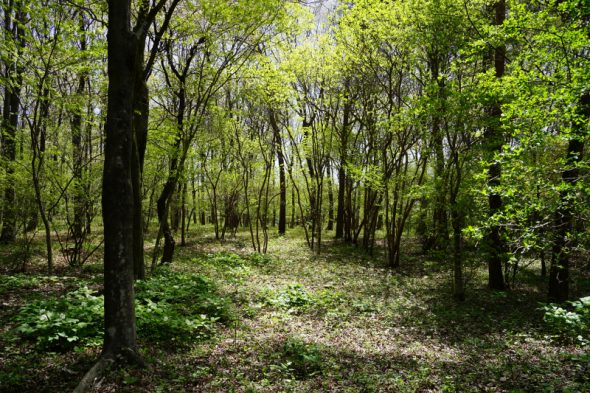 DSC04704