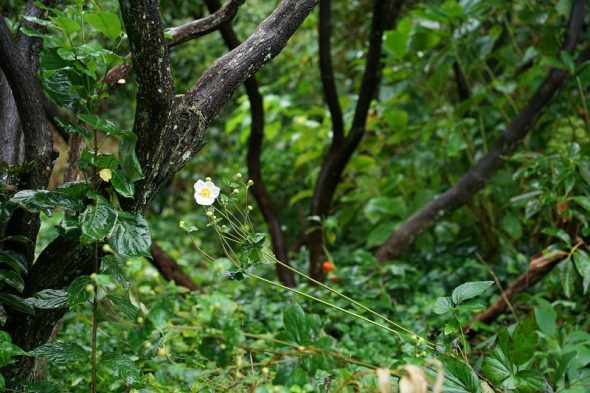 DSC05619