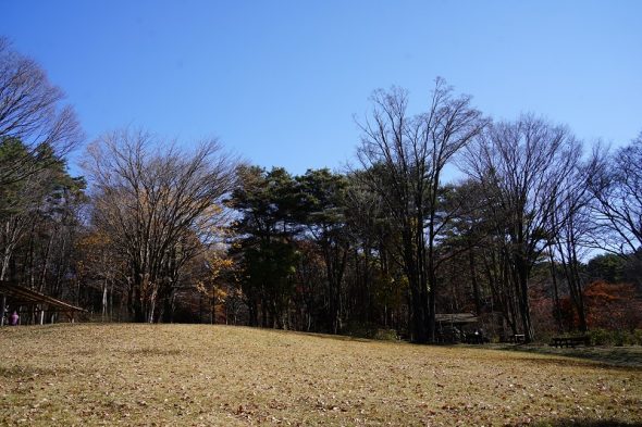 DSC06034