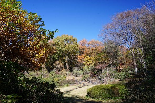 DSC06051