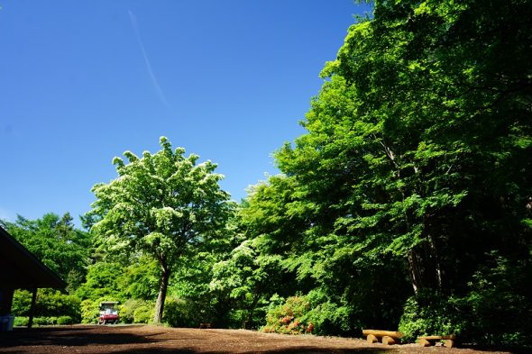 DSC06559