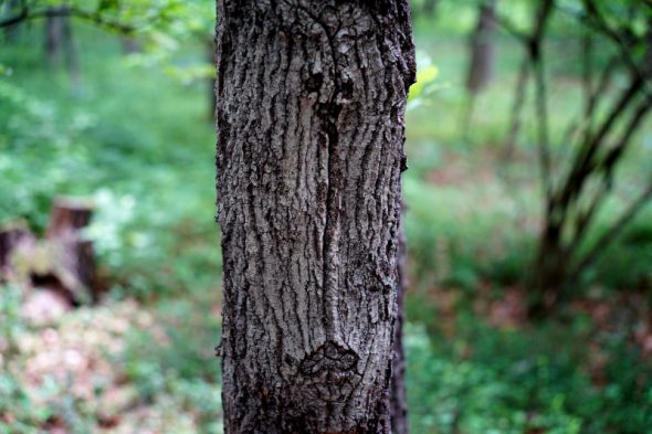 DSC06984_01
