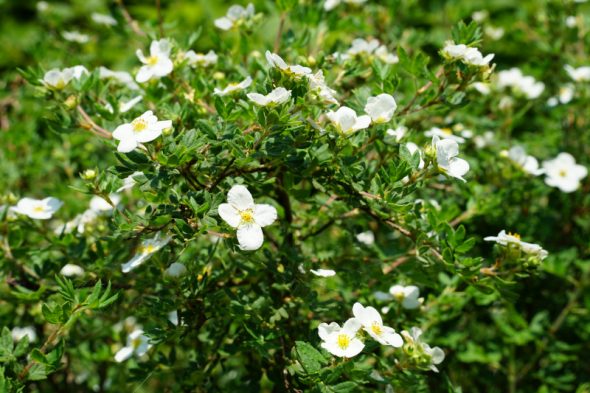 DSC07360_01