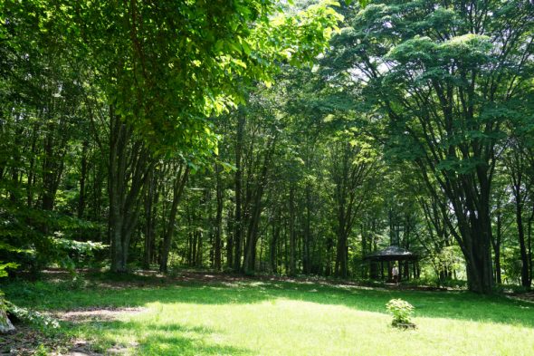 DSC07366_01