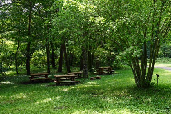 DSC08200