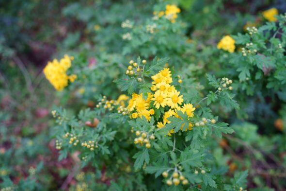 DSC08358_01