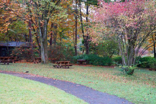 DSC08365_01