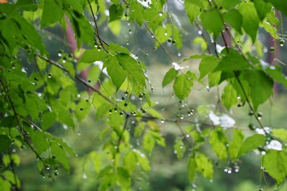 DSC08540